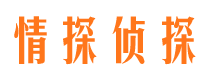 郏县情探私家侦探公司